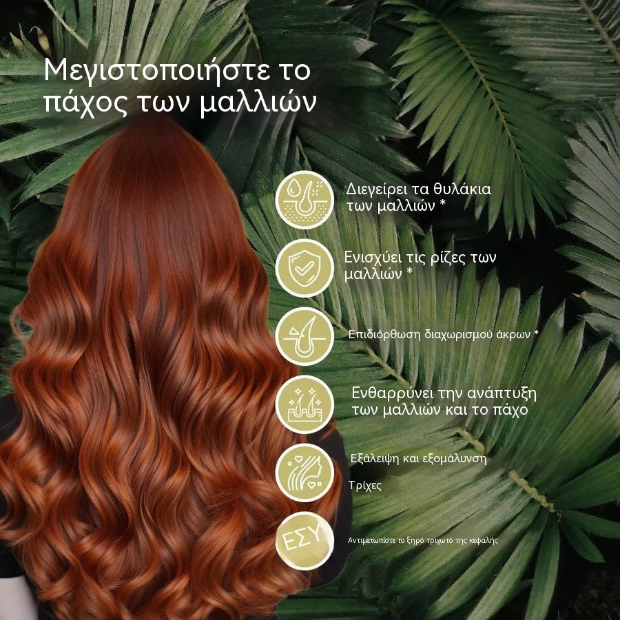 【3 μπουκάλια】Αιθέριο έλαιο υψηλής ποιότητας για τα μαλλιά