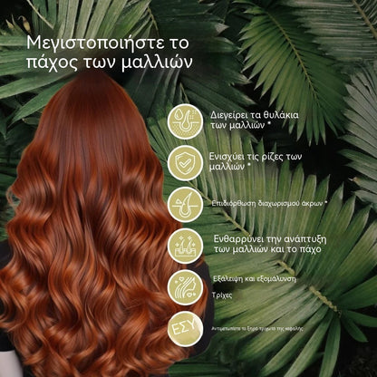 【3 μπουκάλια】Αιθέριο έλαιο υψηλής ποιότητας για τα μαλλιά