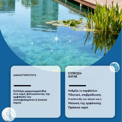 🔥Αγοράστε 1 και πάρτε 1 δωρεάν💧🐠Διαυγαστική σκόνη που διαλύεται εύκολα, καθαρίζει το νερό αφήνοντάς το διαυγές και απαλό. Η σύνθεσή της δεν βλάπτει την ποιότητα του νερού.