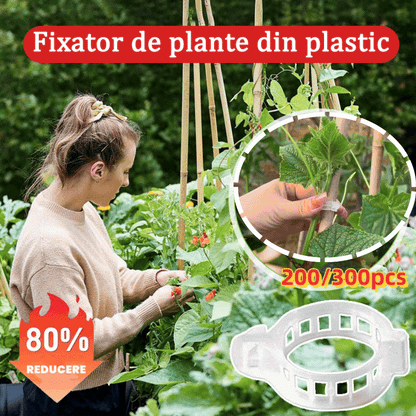 【200piezas】Clip de fijación para el crecimiento de plantas de plántula
