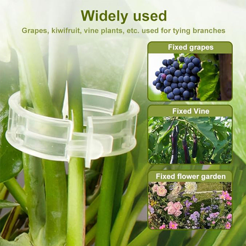 【200piezas】Clip de fijación para el crecimiento de plantas de plántula